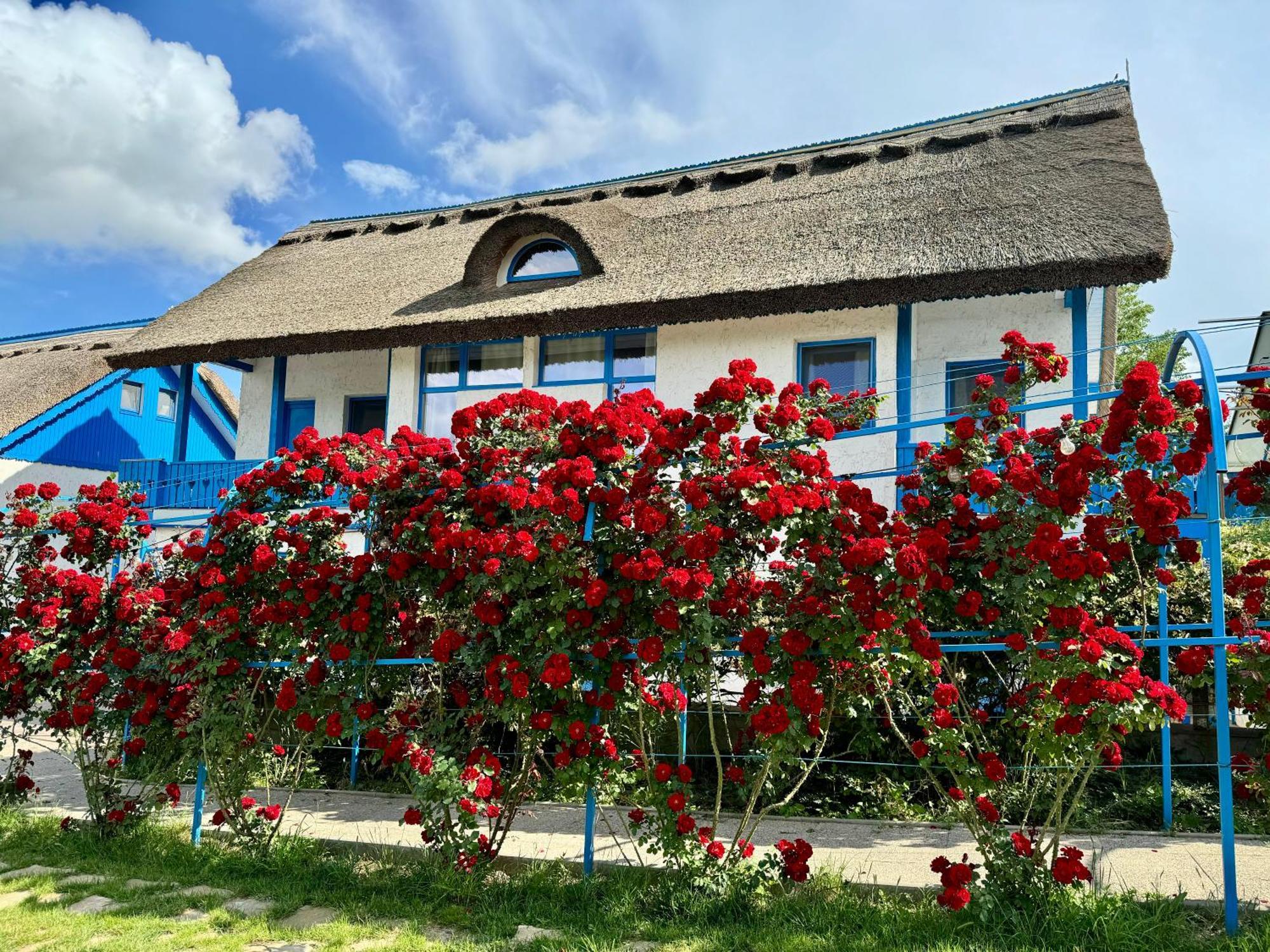 Nena Art Resort Dunavatu de Jos ภายนอก รูปภาพ