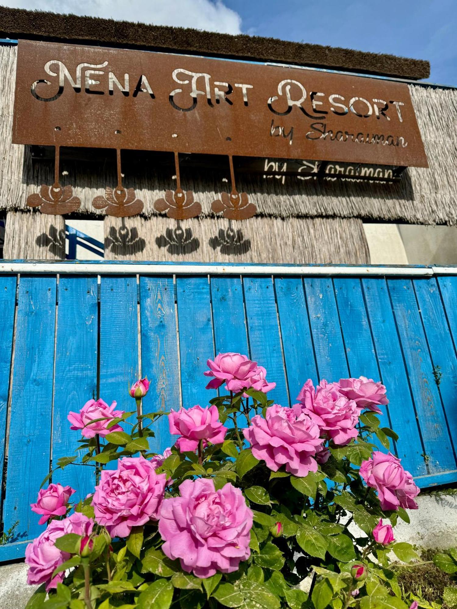 Nena Art Resort Dunavatu de Jos ภายนอก รูปภาพ