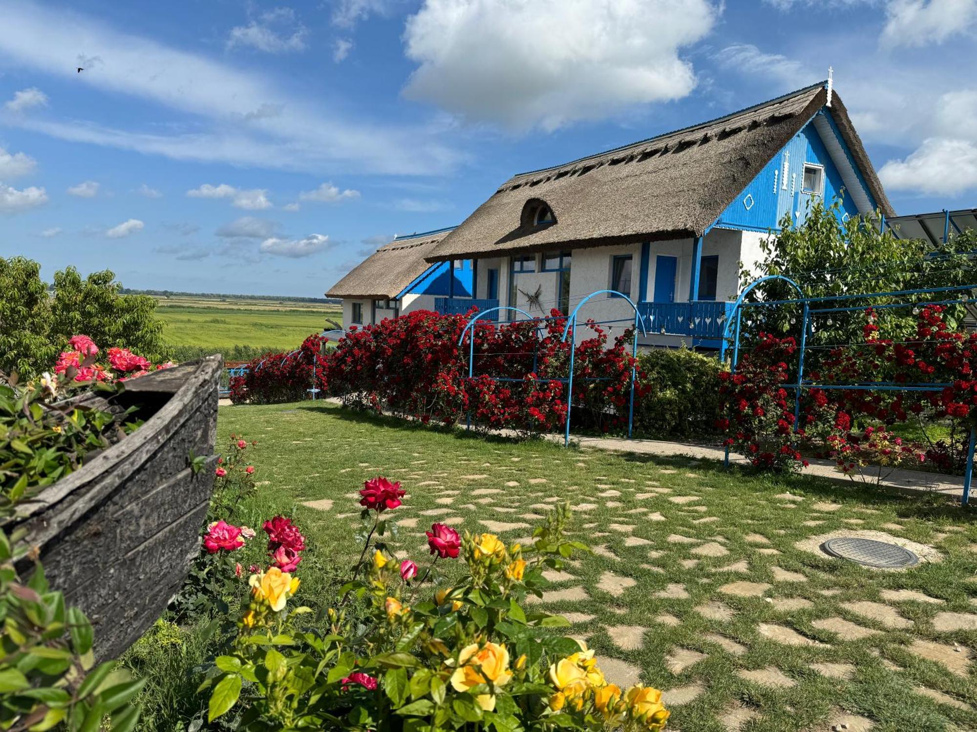 Nena Art Resort Dunavatu de Jos ภายนอก รูปภาพ